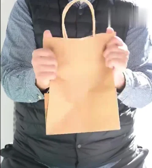 Heißer Verkauf, individuell bedruckte Kraft-Kleidungs-Shopper-Tasche aus recyceltem Kraftpapier mit braunem Griff und gedrehten Griffen